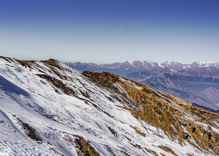 palak-pitroda-Y8KtaSO5NbA-unsplash (1).jpg